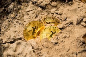 bitcoiny zakopane w piasku